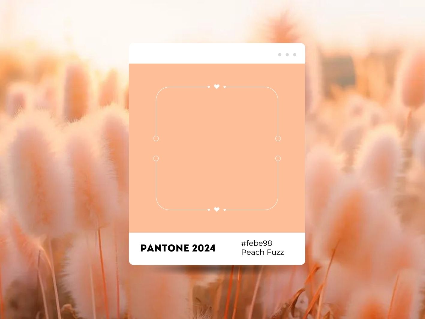 Création site internet adopter la couleur Pantone 2024 Agence